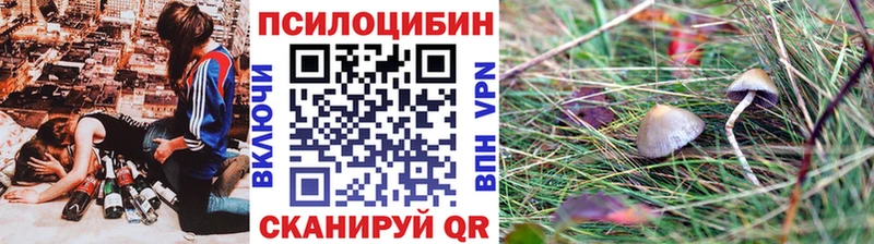 сайты даркнета формула  что такое   Петухово  Галлюциногенные грибы MAGIC MUSHROOMS 